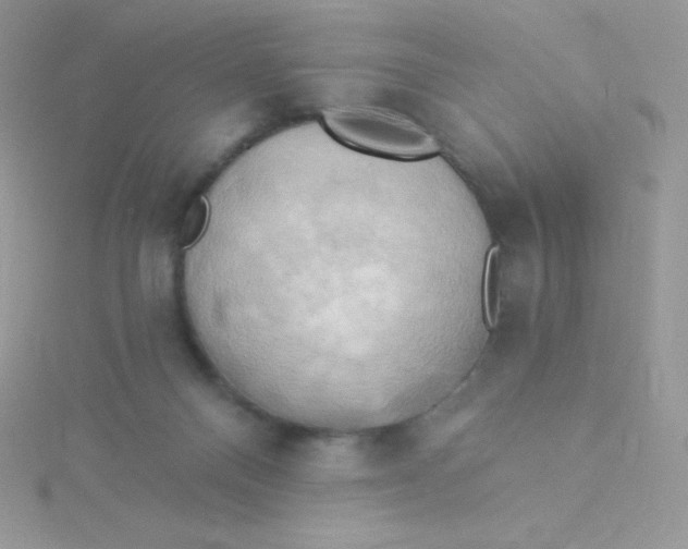 X0000115330120200911231420