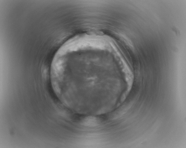 X0000115330123200911231420