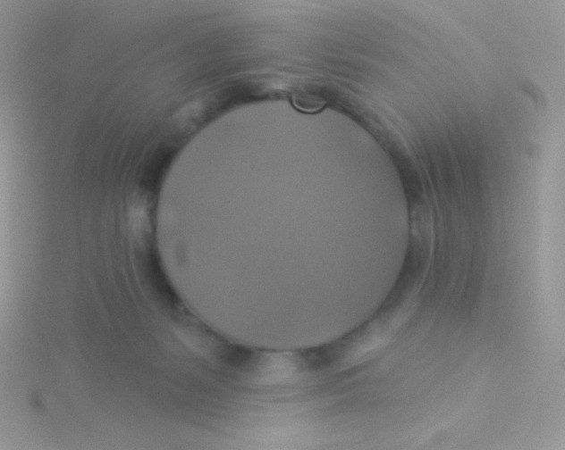 X0000115330127200911231420