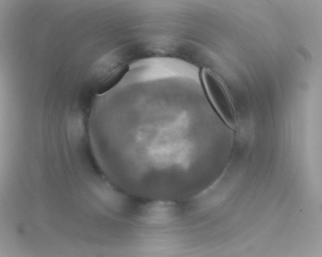 X0000115330128200911231420