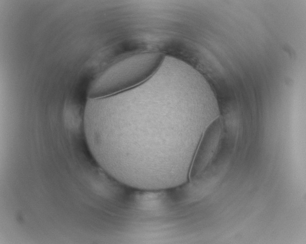 X0000115330129200911231420