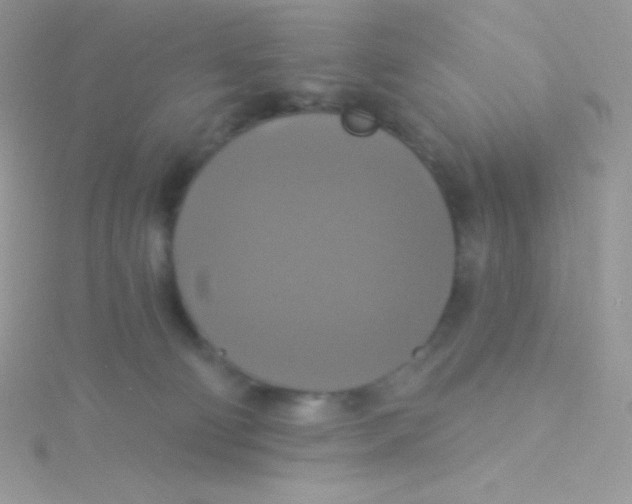 X0000115330130200911231420