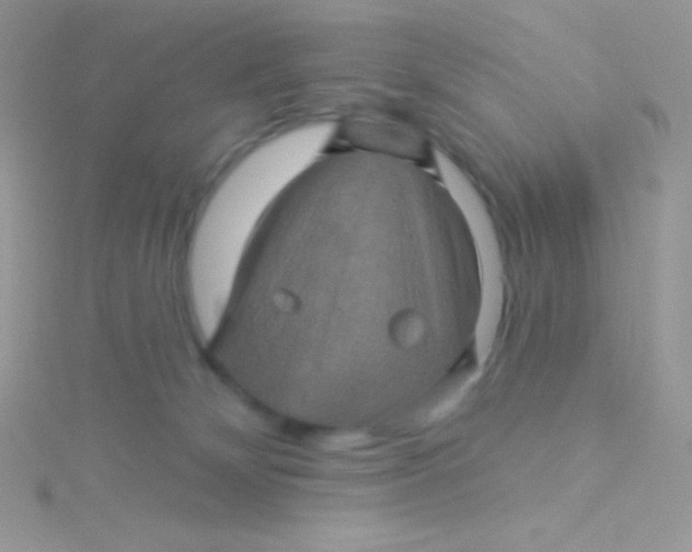 X0000115330132200911231420