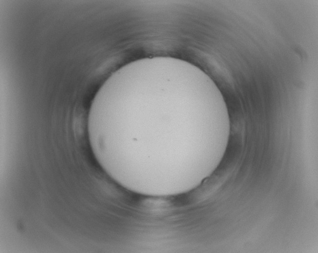 X0000115330133200911231420