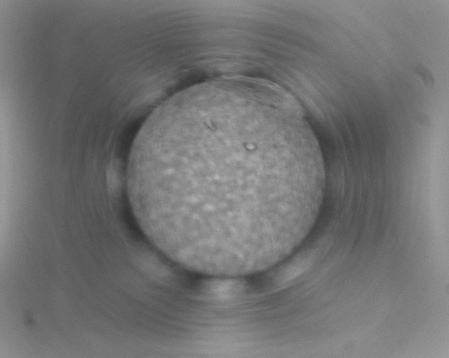 X0000115330135200911231420