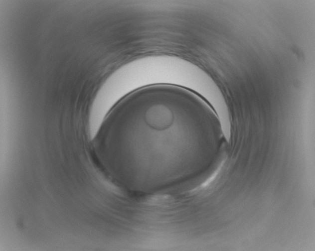 X0000115330136200911231420