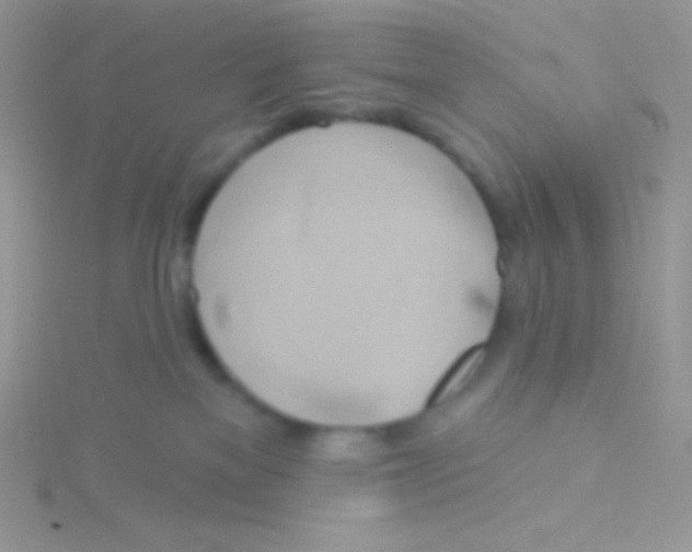 X0000115330137200911231420