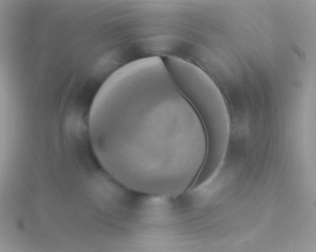 X0000115330140200911231420