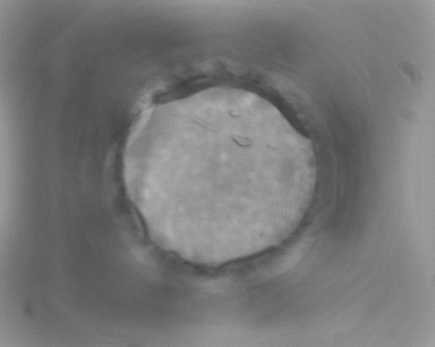 X0000115330144200911231419