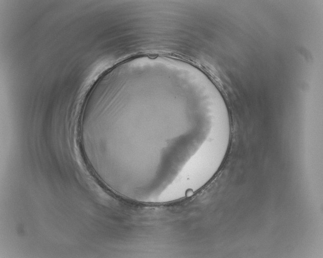 X0000115330145200911231419