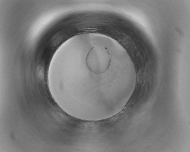 X0000115330146200911231419