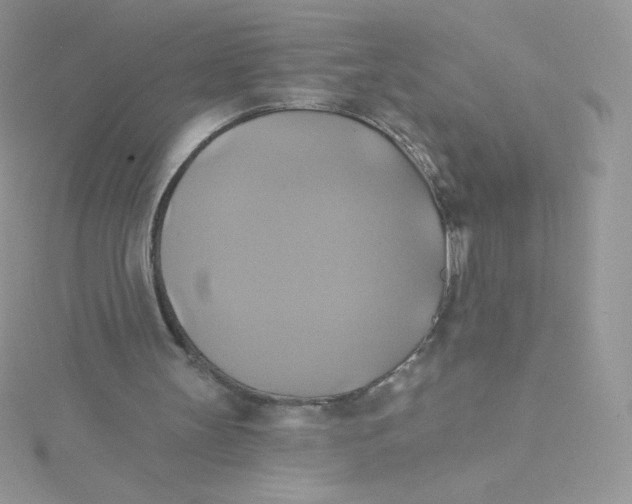 X0000115330147200911231419