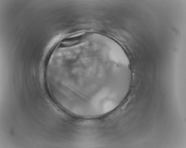 X0000115330149200911231419