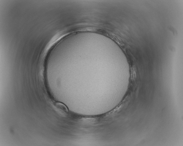 X0000115330150200911231419