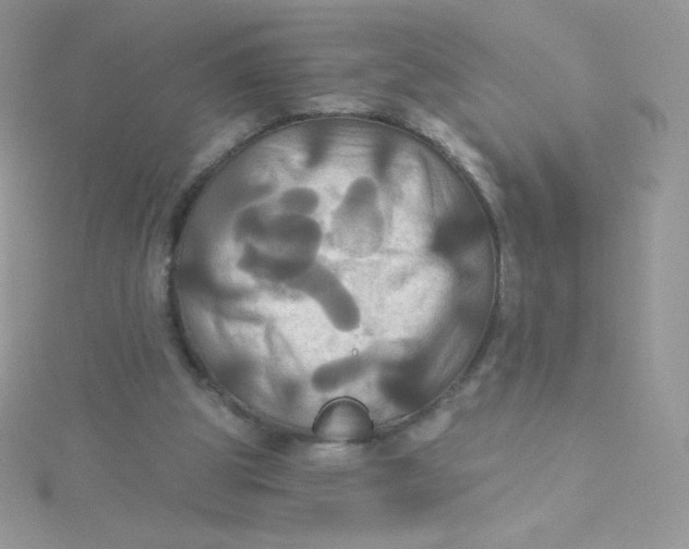 X0000115330153200911231419