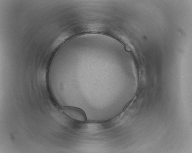 X0000115330154200911231419