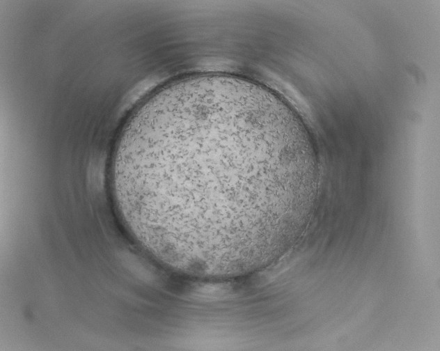 X0000115330155200911231419