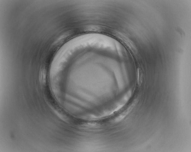 X0000115330157200911231419