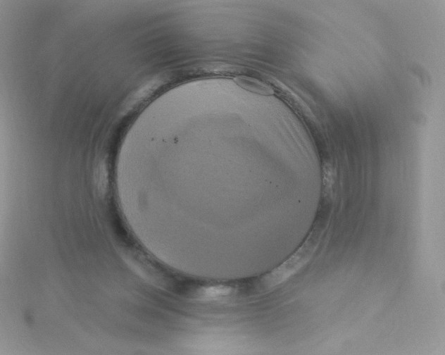 X0000115330158200911231419