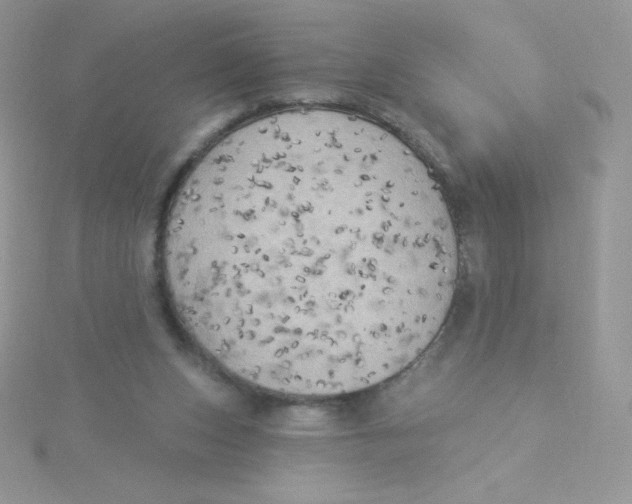 X0000115330159200911231419