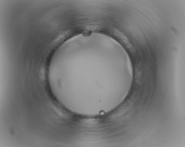 X0000115330161200911231419