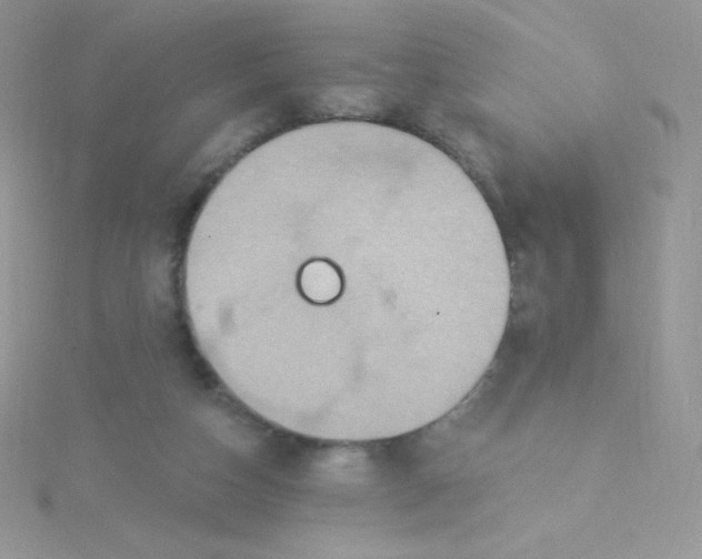 X0000115330162200911231419