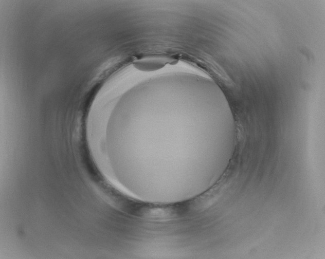 X0000115330163200911231419