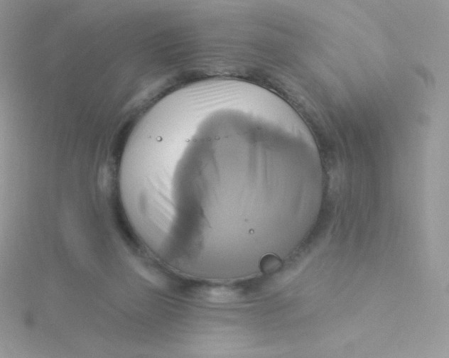 X0000115330165200911231419