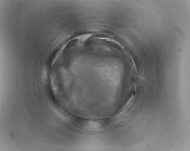 X0000115330166200911231419