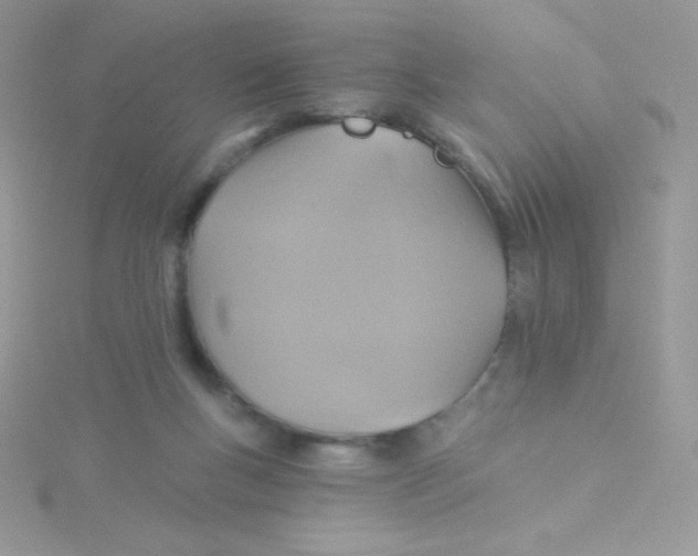 X0000115330167200911231419