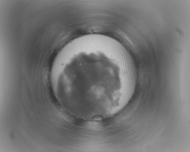 X0000115330169200911231419