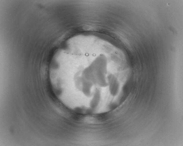 X0000115330171200911231419