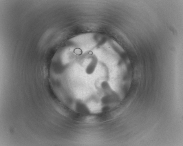 X0000115330173200911231419