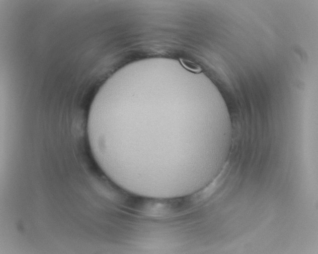 X0000115330174200911231419