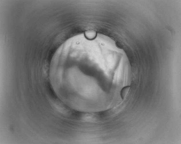 X0000115330175200911231419