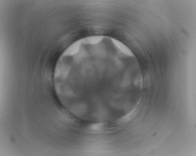 X0000115330178200911231419