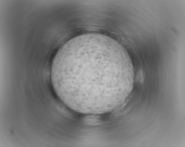 X0000115330179200911231419