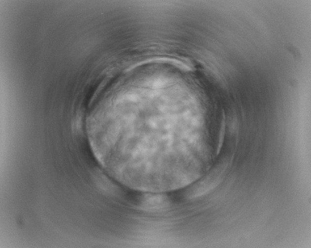 X0000115330185200911231419