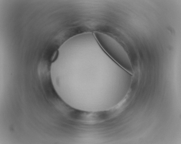 X0000115330186200911231419