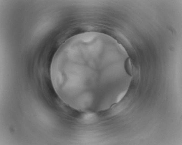 X0000115330189200911231419