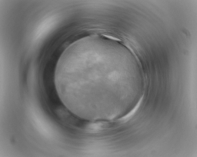 X0000115330190200911231419