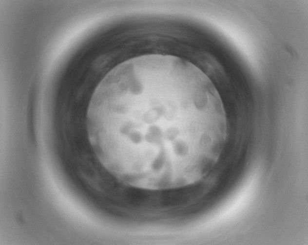 X0000115330191200911231419