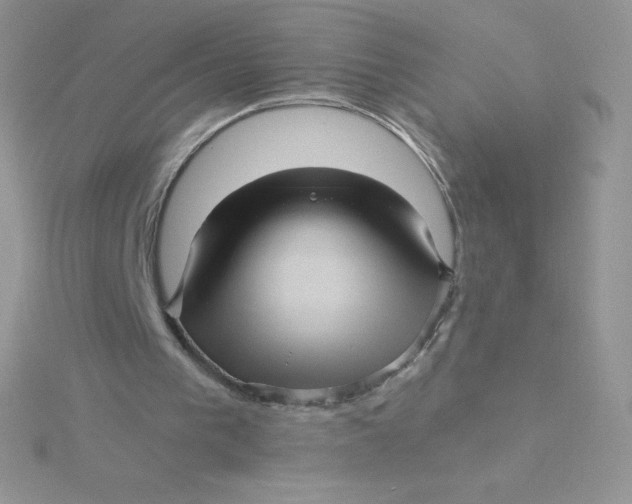 X0000115330193200911231419