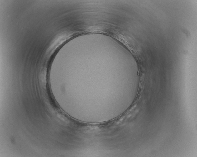 X0000115330194200911231419