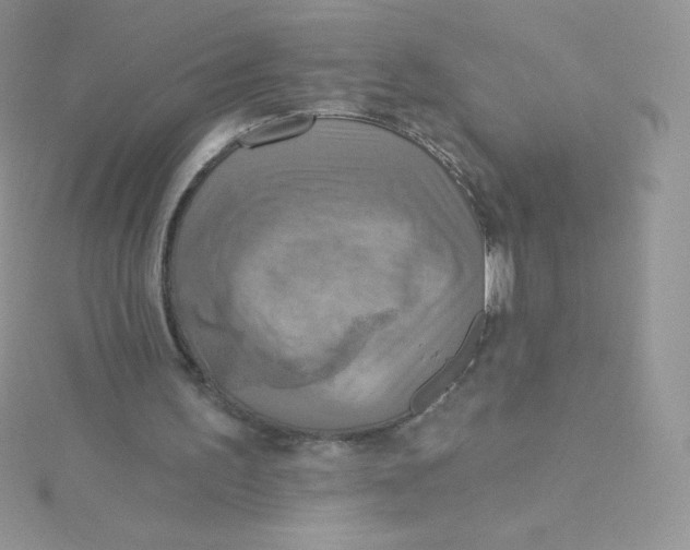 X0000115330195200911231419