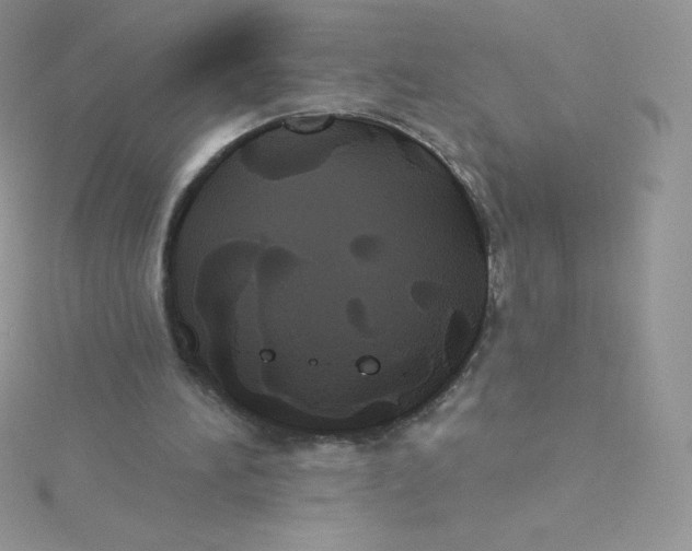 X0000115330196200911231419