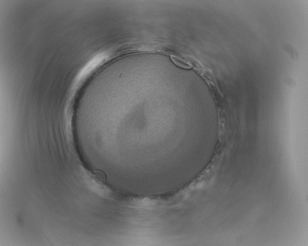 X0000115330197200911231419