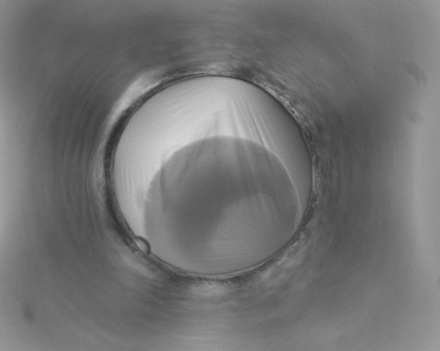 X0000115330198200911231419