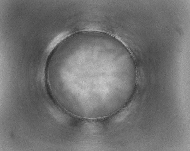 X0000115330199200911231419