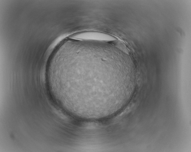 X0000115330200200911231419